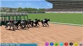 game pic for Virtual Horse Racing 3D Pro